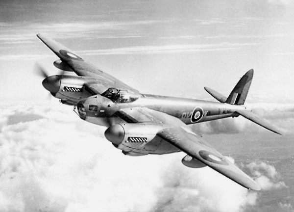 mosquito-600pix.jpg?v20240716172853