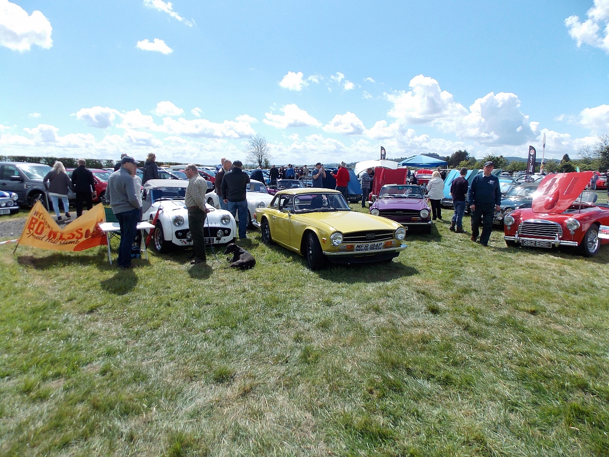 Stirling car show