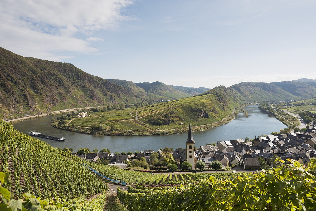 TR Tours - Mosel